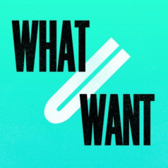 Kevin McKay, J Paul Getto – What U Want (2017 Remixes) / Glasgow Underground