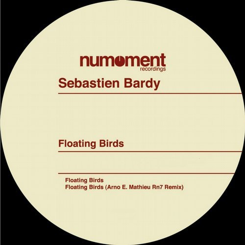 image cover: Sebastien Bardy - Floating Birds / Numoment Recordings