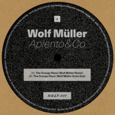 Apiento & Co. – The Orange Place – Wolf Muller Remixes / Husten