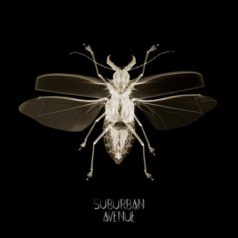 Johannes Volk & Savas Pascalidis – Suburban Avenue 007 / Suburban Avenue