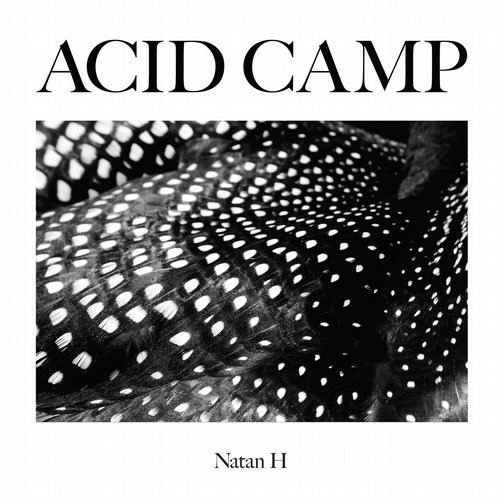 image cover: Natan H - Atmosphere / Acid Camp