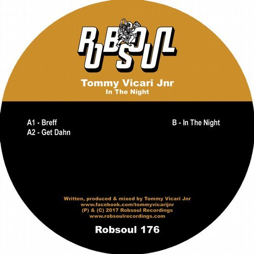image cover: Tommy Vicari Jnr - In The Night / Robsoul Recordings