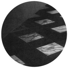 Royer – Documented / Lobster Theremin