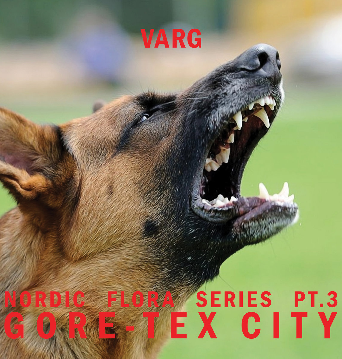 image cover: Varg - Nordic Flora Series Pt. 3: Gore?-?tex City / Northern Electronics