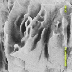 Pilo – Flourishes EP / Boysnoize Records