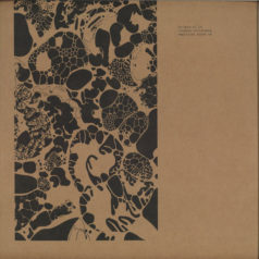 Ricardo Villalobos – Empirical House LP / [a:rpia:r]