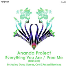 Ananda Project – Everything You Are –  Free Me (Remixes) / Nite Grooves