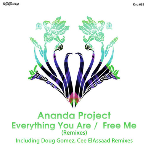 image cover: Ananda Project - Everything You Are - Free Me (Remixes) / Nite Grooves