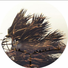 VA – Breeze EP / Batti Batti