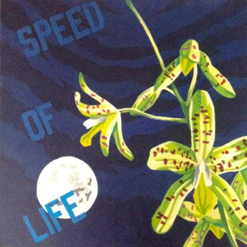 image cover: VINYL: K15 - Speed of Life / Wild Oats