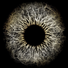 Max Cooper – Chromos (Cosmin TRG’s Mutation) / Mesh