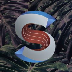 Patrick Kunkel – Evolution EP / Sincopat
