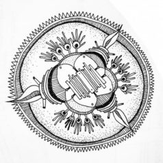 Ander – Figure It In / Contexterrior / Tuning Spork