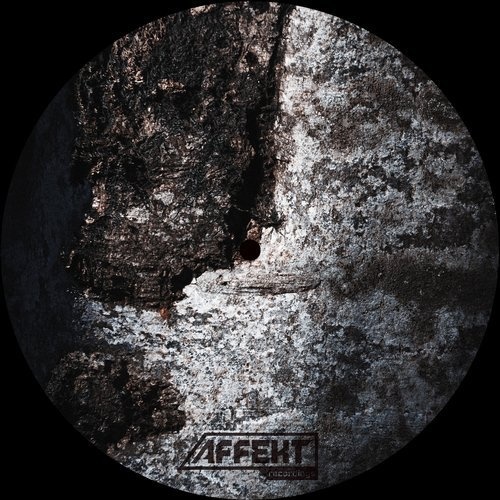 image cover: Booz - Galaxy X Ep / Affekt Recordings