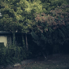 Joris Voorn – I Ran The Zoo / Green