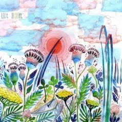 Lost Desert – Lost Desert – Seringeti Nightfall / Shanti Radio Moscow