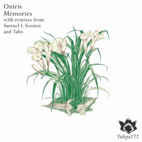 image cover: Oniris - Memories / Tulipa Recordings