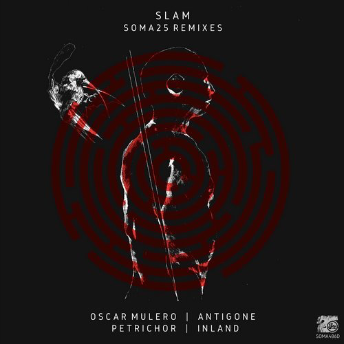 image cover: Slam - Soma 25 Remixes / Soma Records
