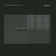 Steve O’Sullivan and Ricardo Villalobos – Sullric / Mosaic