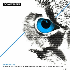 Vincenzo D’amico, Caleb Calloway – The Place EP / Do Not Sleep