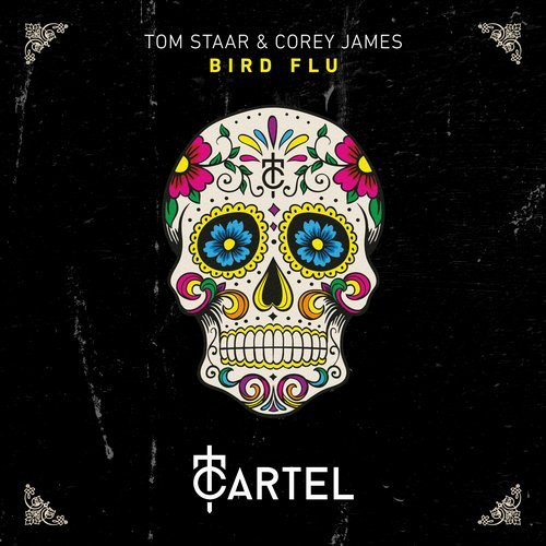image cover: Tom Staar, Corey James - Bird Flu / Cartel Music