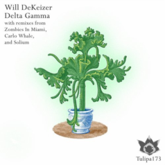 Will DeKeizer – Delta Gamma / Tulipa Recordings