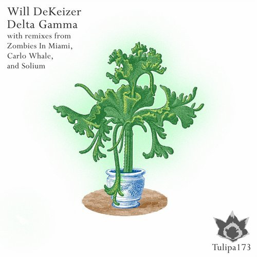 image cover: Will DeKeizer - Delta Gamma / Tulipa Recordings