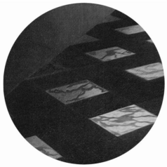 Royer – Documented / Mörk
