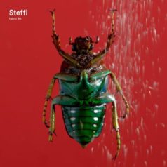 Steffi – Fabric 94 / Fabric