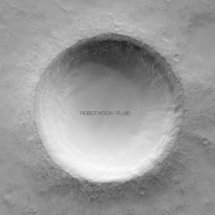 Robot Koch, Chi Thanh – Fluid / Diynamic