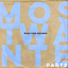VA – Most Wanted, Pt. 2 / Frigo Vide Records