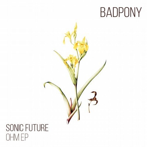 image cover: Sonic Future - Ohm / Bad Pony