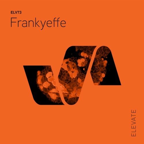 image cover: Frankyeffe - Paranormal EP / ELEVATE