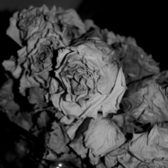 VINYL: Sciahri – Quiet Witness / Black Opal