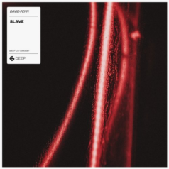 David Penn – Slave / SPINNIN’ DEEP