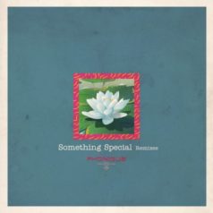 Phonique, Ian Whitelaw – Something Special Remixes / Ladies And Gentlemen