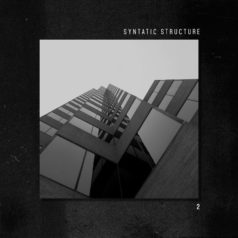 VA – Syntatic Structure 2 / Gastspiel