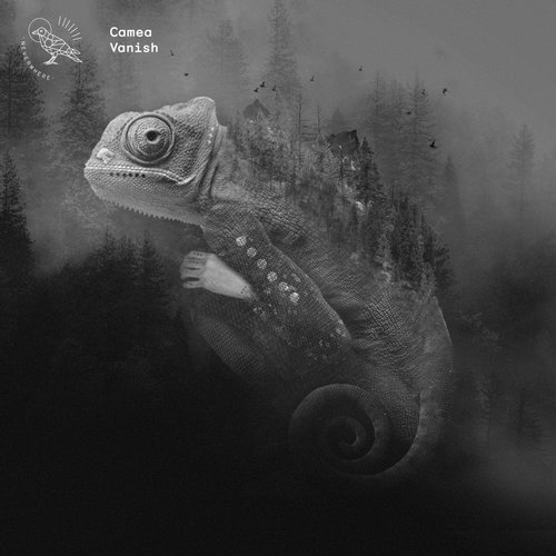 image cover: Camea - Vanish (+Tobias. Remix) / Neverwhere