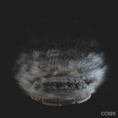 DKA – Vortex / Constant Circles