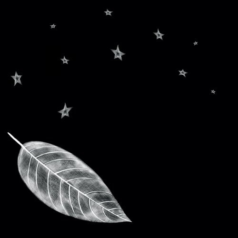 Andy Ash – White Leaf (+MoodyManc Remix) / Fly By Night Music