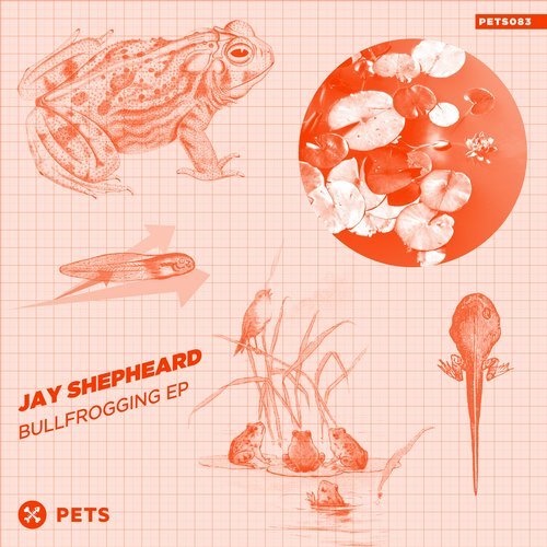 image cover: Jay Shepheard - Bullfrogging (+Mark Henning Remix) / Pets Recordings