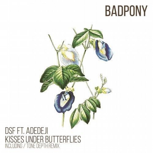 image cover: DSF - Kisses Under Butterflies (Tone Depth Remix) / Bad Pony