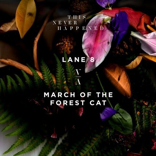 image cover: Lane 8 - March of the Forest Cat / This Never Happened