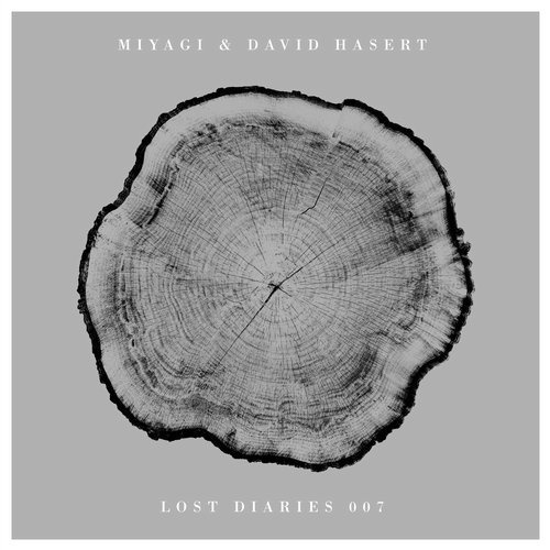 image cover: Miyagi, David Hasert - Weltaufgang (Incl. Patlac Remix) / Lost Diaries
