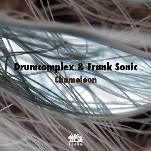 image cover: Drumcomplex, Frank Sonic - Chameleon EP / Traum