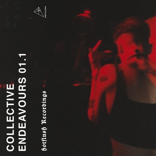 image cover: VA - Collective Endeavours 01.1 / Hotflush Recordings