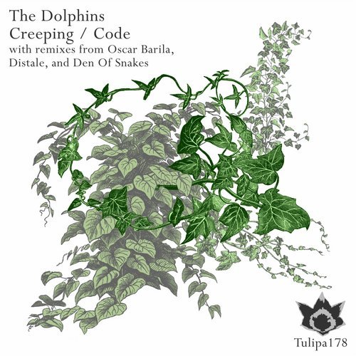 image cover: The Dolphins - Creeping / Code / Tulipa Recordings