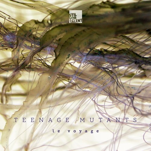 image cover: Heerhorst, Teenage Mutants - Le Voyage / Stil Vor Talent