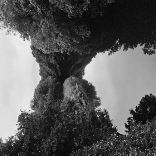 image cover: Four Tet - Planet / Text Records