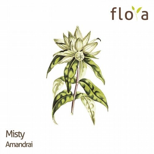 image cover: Misty - Amandrai / flora
